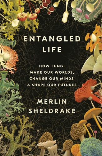 Entangled Life cover