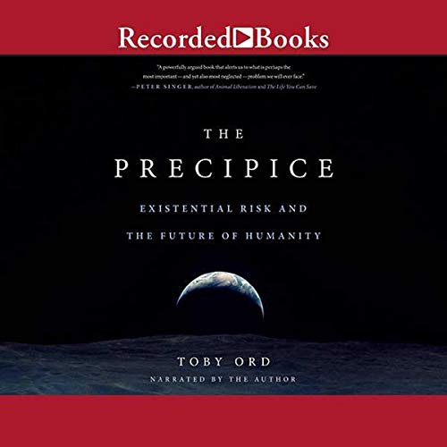 The Precipice cover